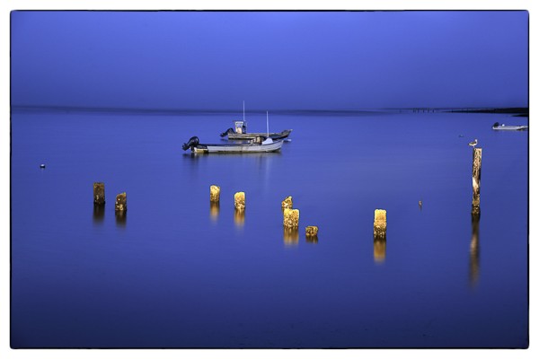 _BPI4166-Morning blue sea gold pall.jpg